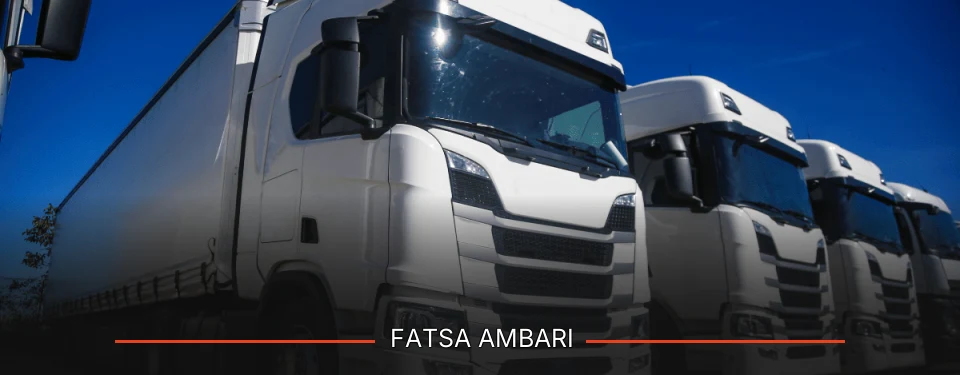 Fatsa Ambarı Kargo
