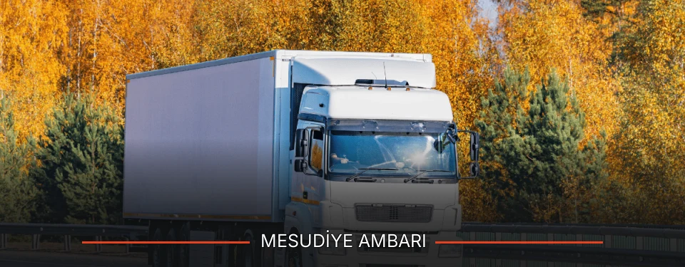 Mesudiye Ambarı